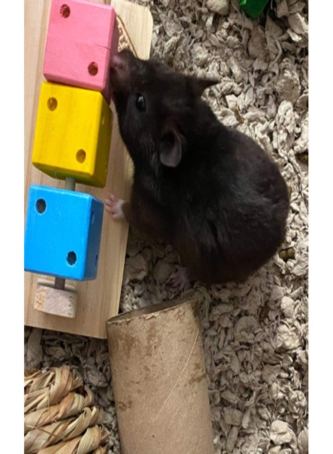 Besimple Hamster Chew Toys, Hamster Enrichment, Guinea Pig Toys and Accessories for Cage, Wood Hamster Platform Chew Toys for Teeth, Dwarf Hamster Chews, Colorful Wooden Block for Small Pets - Image 4